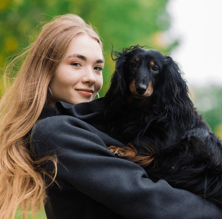 Deep dark brown black dog best color for clothes sweater dachshund